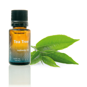 essential oil tea tree